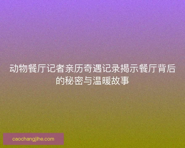 动物餐厅记者亲历奇遇记录揭示餐厅背后的秘密与温暖故事