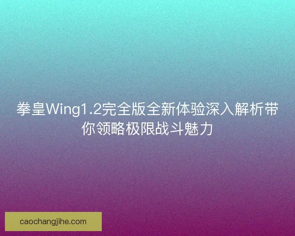 拳皇Wing1.2完全版全新体验深入解析带你领略极限战斗魅力