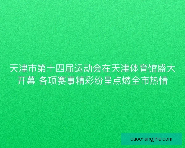 天津市第十四届运动会在天津体育馆盛大开幕 各项赛事精彩纷呈点燃全市热情