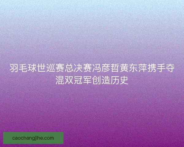 羽毛球世巡赛总决赛冯彦哲黄东萍携手夺混双冠军创造历史 羽毛球世巡赛总决赛冯彦哲黄东萍携手夺混双冠军创造历史