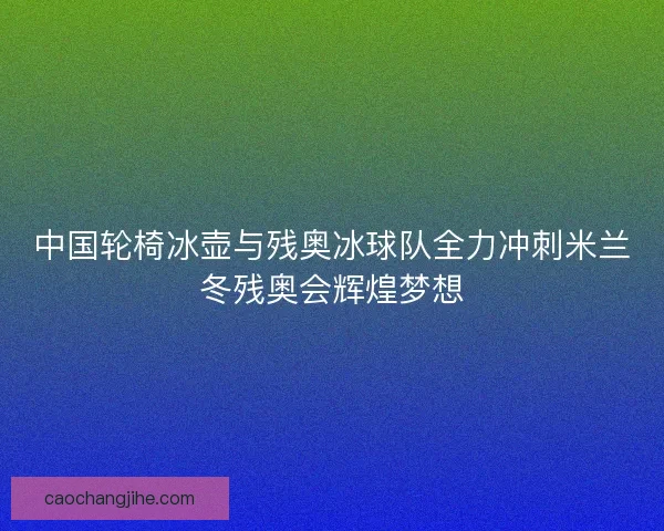 中国轮椅冰壶与残奥冰球队全力冲刺米兰冬残奥会辉煌梦想