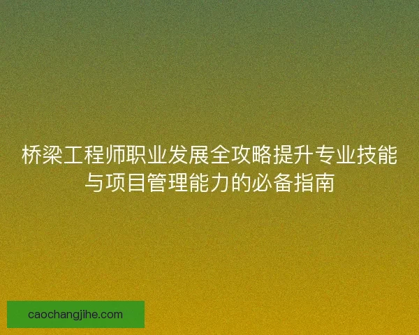 桥梁工程师职业发展全攻略提升专业技能与项目管理能力的必备指南