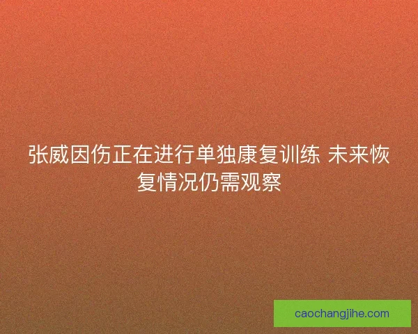 张威因伤正在进行单独康复训练 未来恢复情况仍需观察